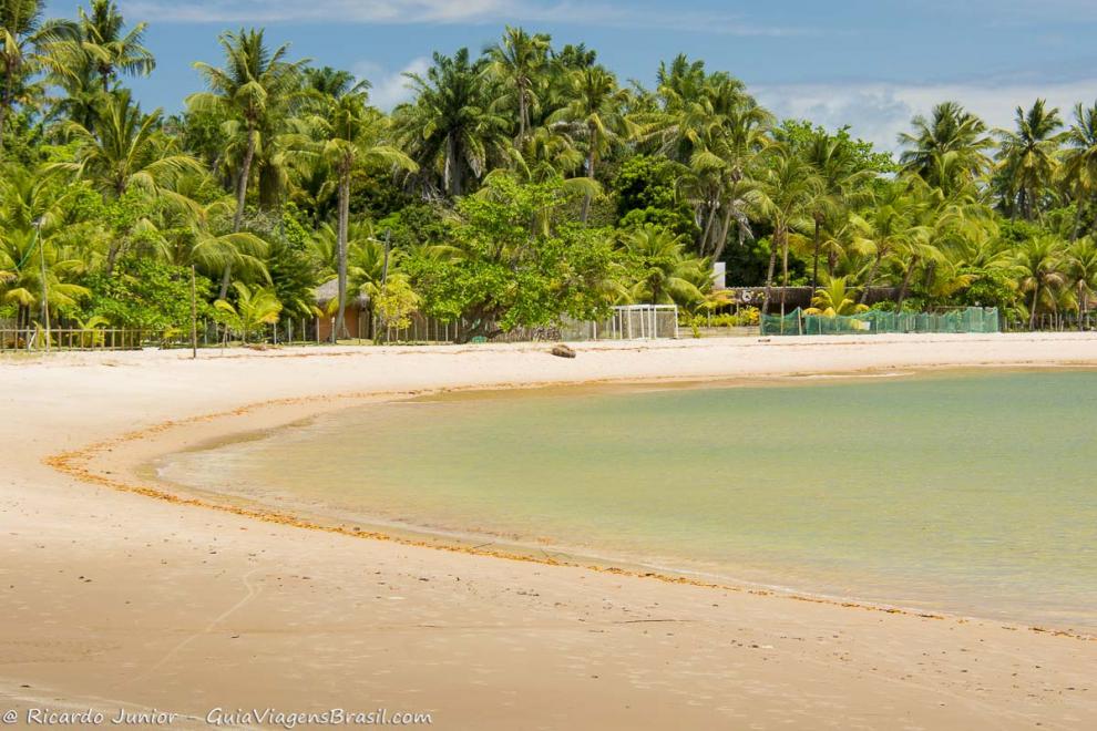 Imagem das águas calmas e cristalinas da Praia Ponta do Mutá.